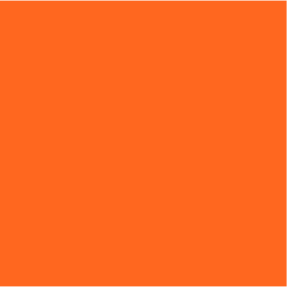 PANTONE165C