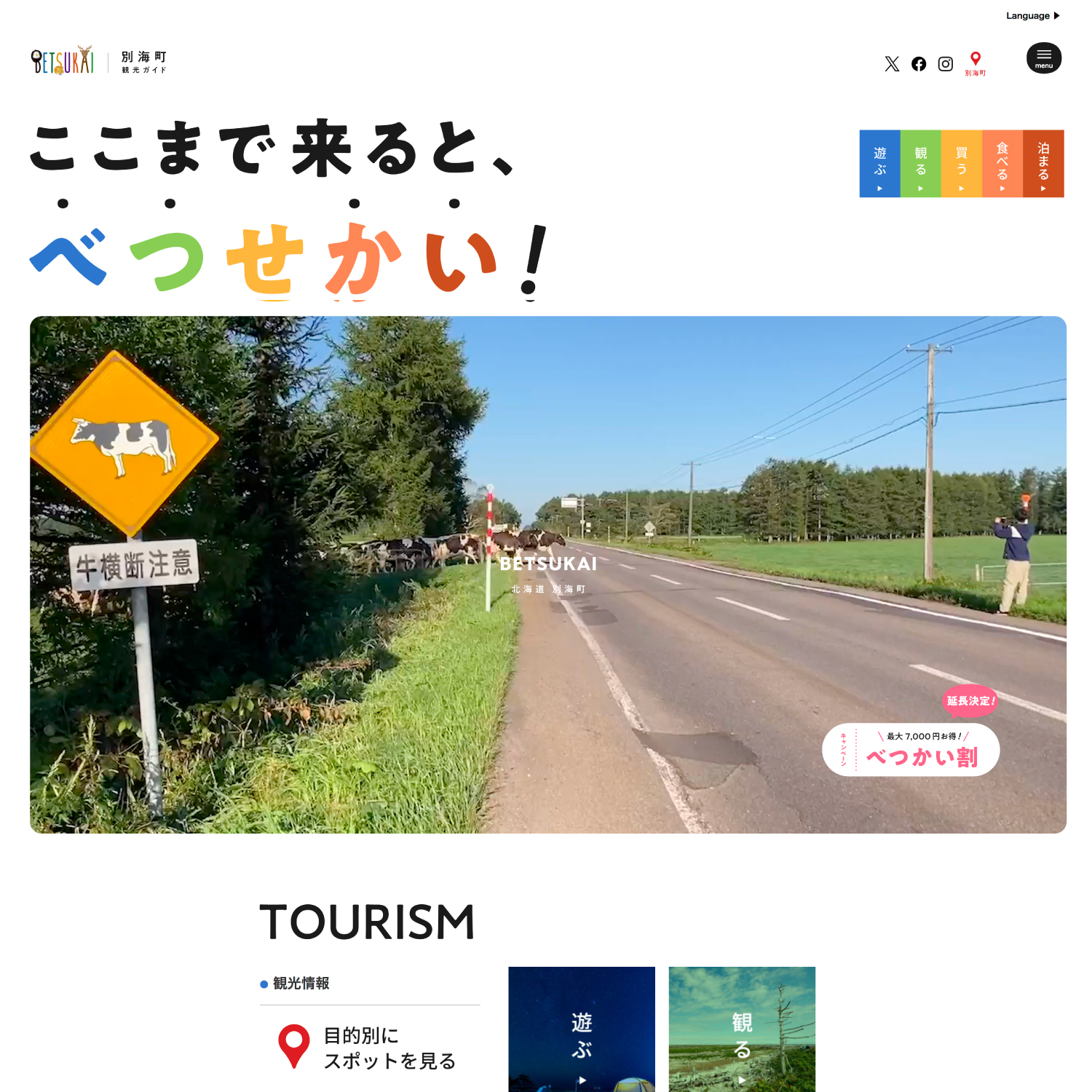 サンプル画像