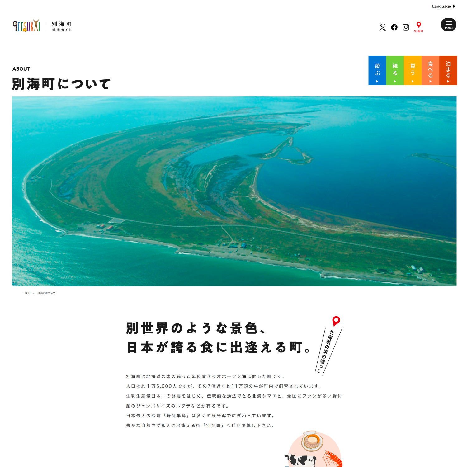 サンプル画像